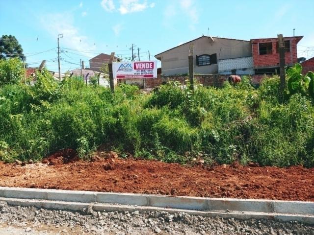 #000109 - Terreno para Venda em Almirante Tamandaré - PR - 3