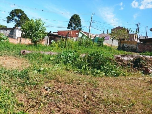 #000109 - Terreno para Venda em Almirante Tamandaré - PR - 2