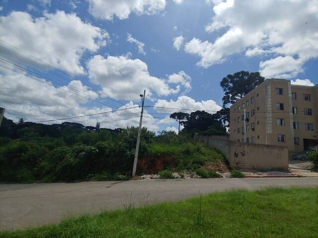 #000200 - Terreno para Venda em Almirante Tamandaré - PR - 3