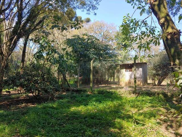 #000216 - Terreno para Venda em Almirante Tamandaré - PR - 2